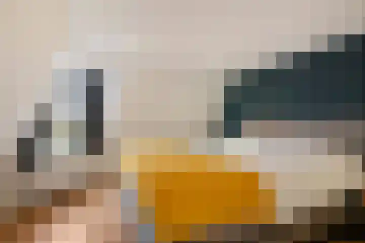 Krugerlaan 36 Zeist thumbnail 26