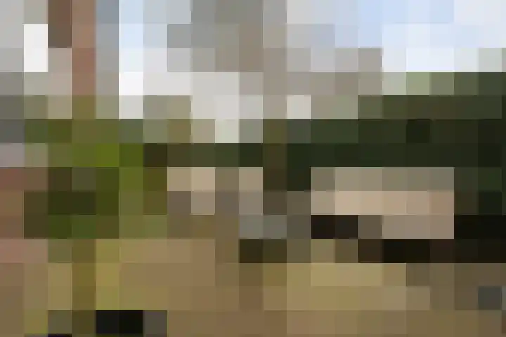 Krugerlaan 36 Zeist thumbnail 31