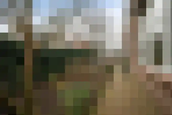 Krugerlaan 36 Zeist thumbnail 33