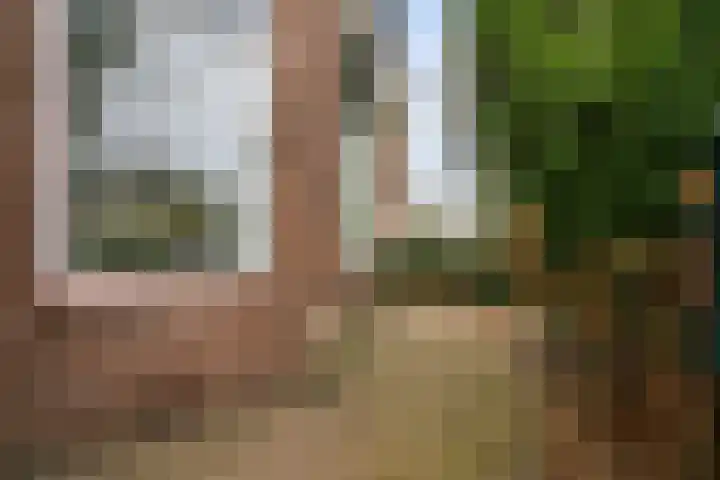 Krugerlaan 36 Zeist thumbnail 34