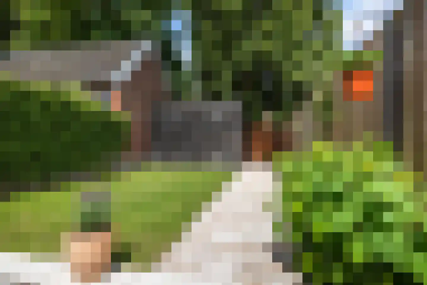 Krugerlaan 50 Zeist thumbnail 44