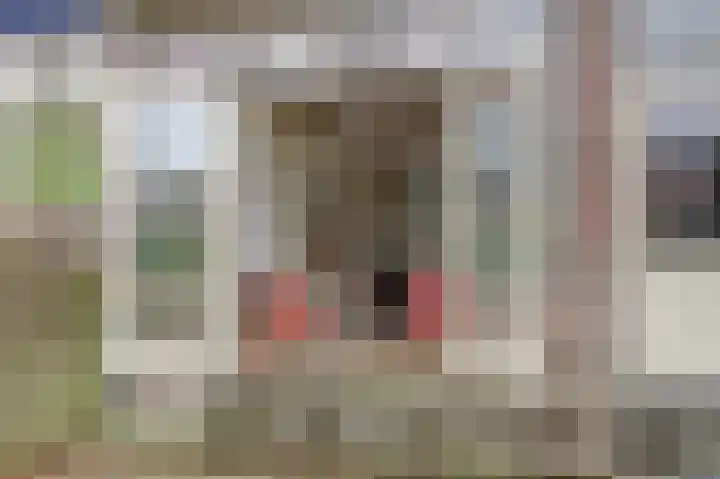 Krugerlaan 59 Gouda thumbnail 42