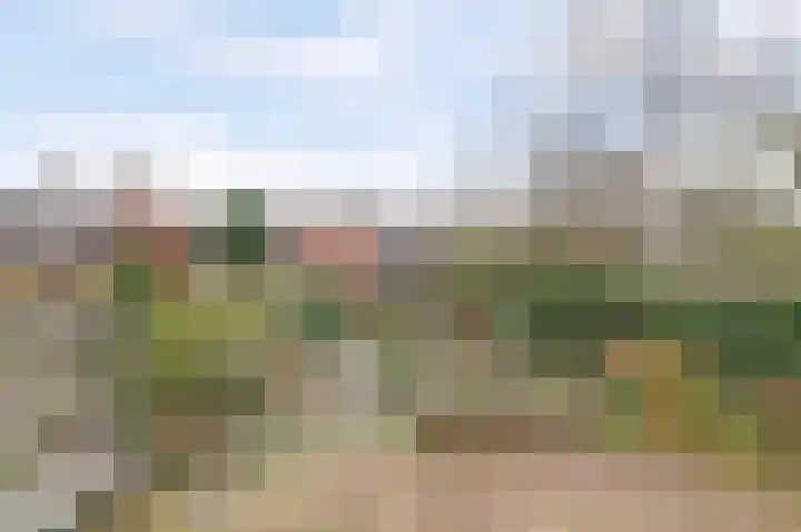 Krugerlaan 59 Gouda thumbnail 43