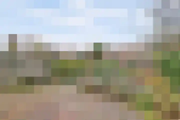 Krugerlaan 59 Gouda thumbnail 44