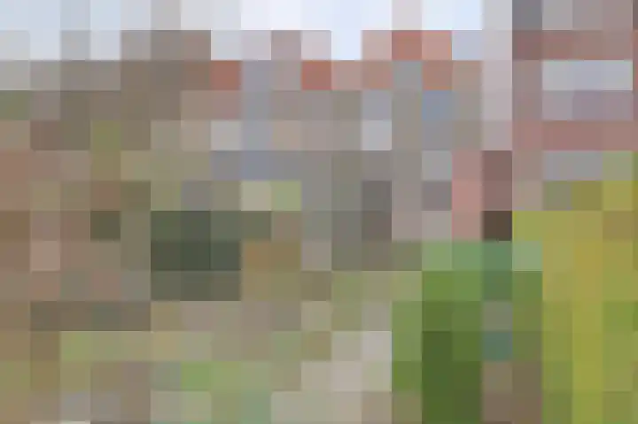 Krugerlaan 59 Gouda thumbnail 46