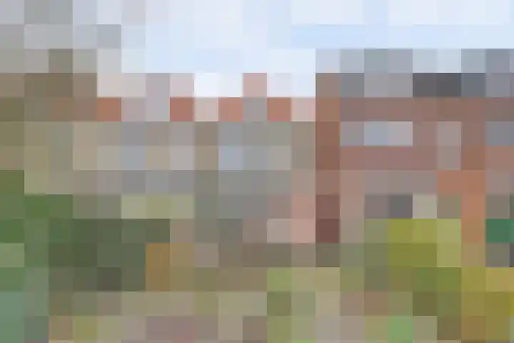 Krugerlaan 59 Gouda thumbnail 47