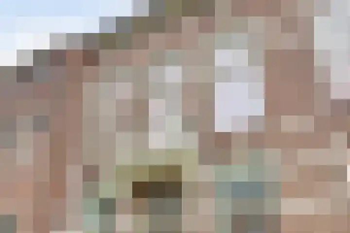 Krugerlaan 59 Gouda thumbnail 5