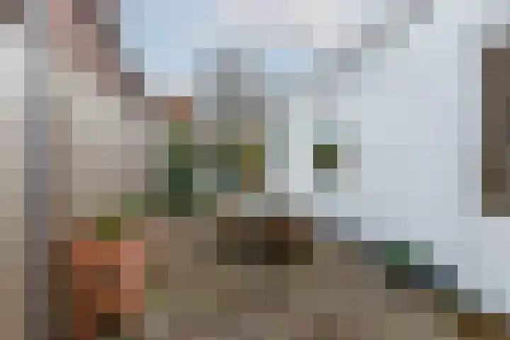 Krugerlaan 61 Zeist thumbnail 36