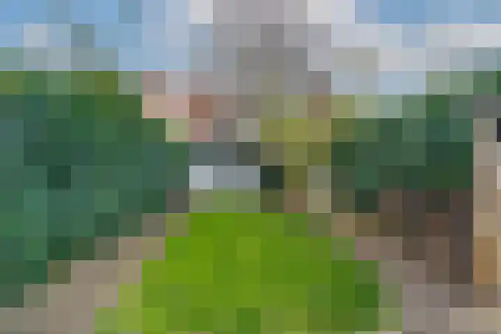 Krugerlaan 61 Zeist thumbnail 38