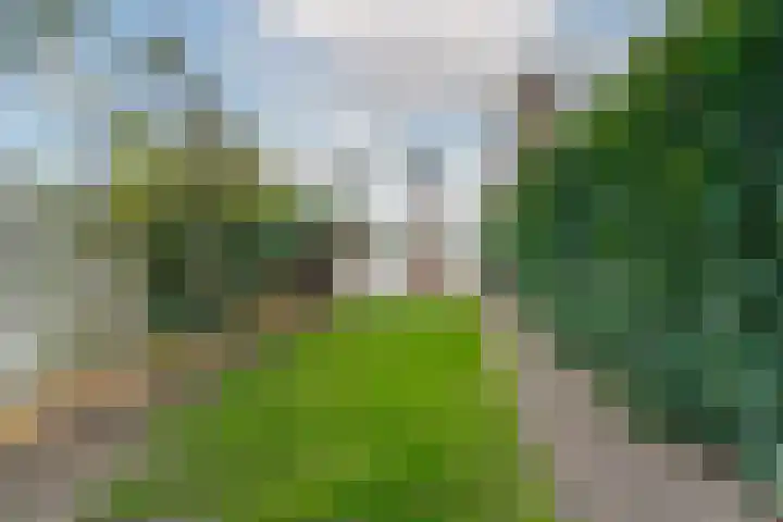 Krugerlaan 61 Zeist thumbnail 39