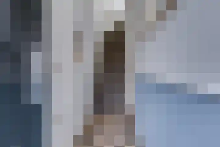 Krugerlaan 61 Zeist thumbnail 5