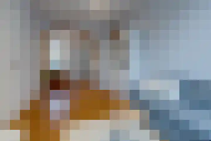 Krugerlaan 61 Zeist thumbnail 6