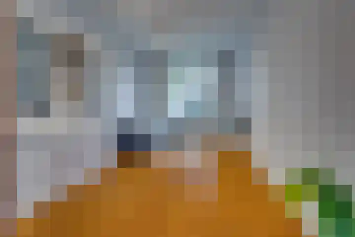 Krugerlaan 61 Zeist thumbnail 7