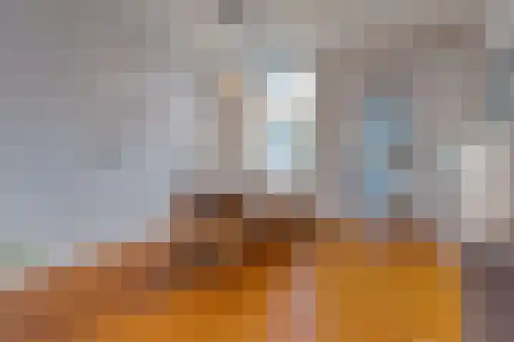 Krugerlaan 61 Zeist thumbnail 9