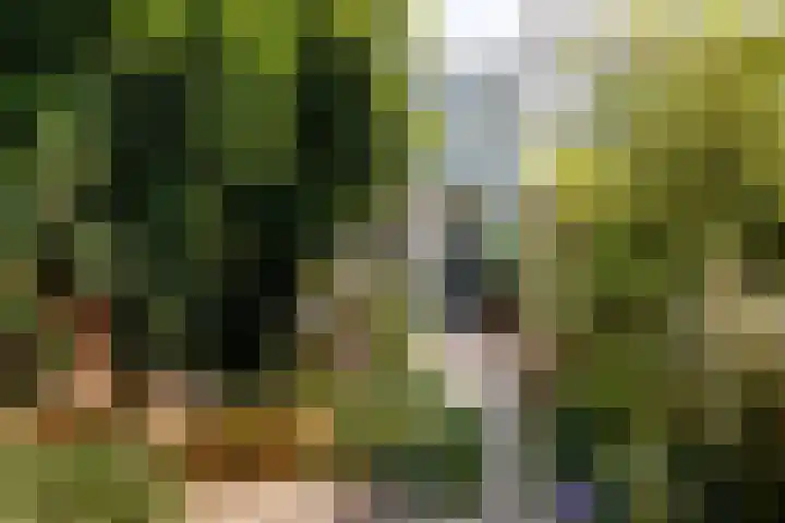 Krugerlaan 65 B Zeist thumbnail 15
