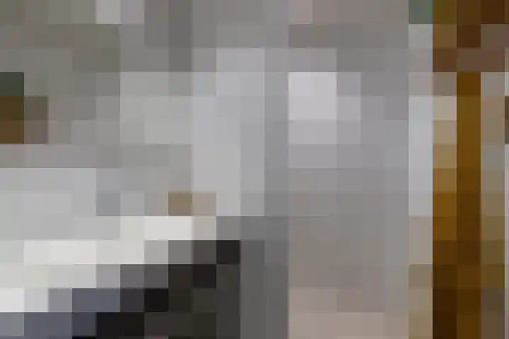 Krugerlaan 65 B Zeist thumbnail 17