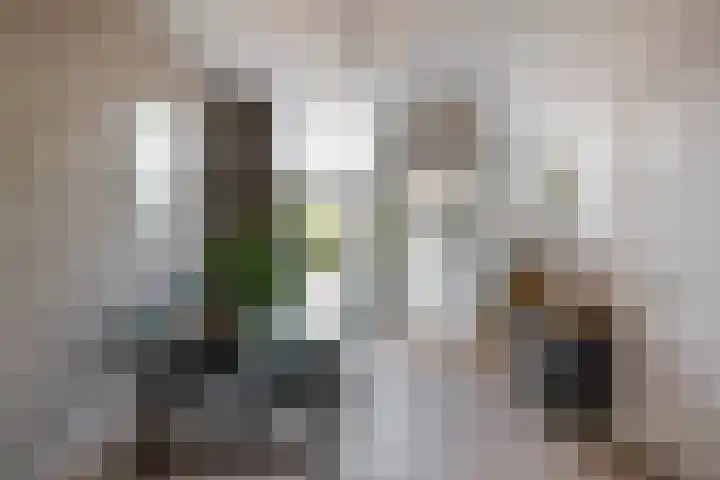Krugerlaan 65 B Zeist thumbnail 5