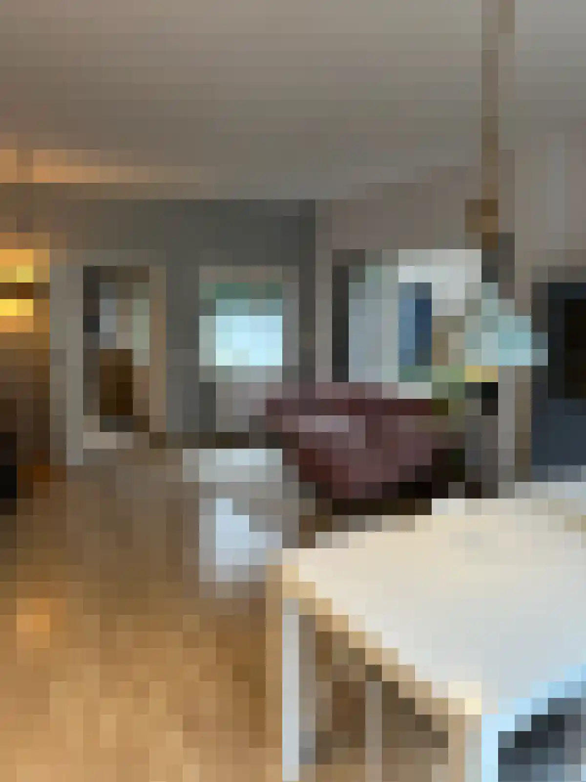 Krugerlaan 76 Zeist thumbnail 4