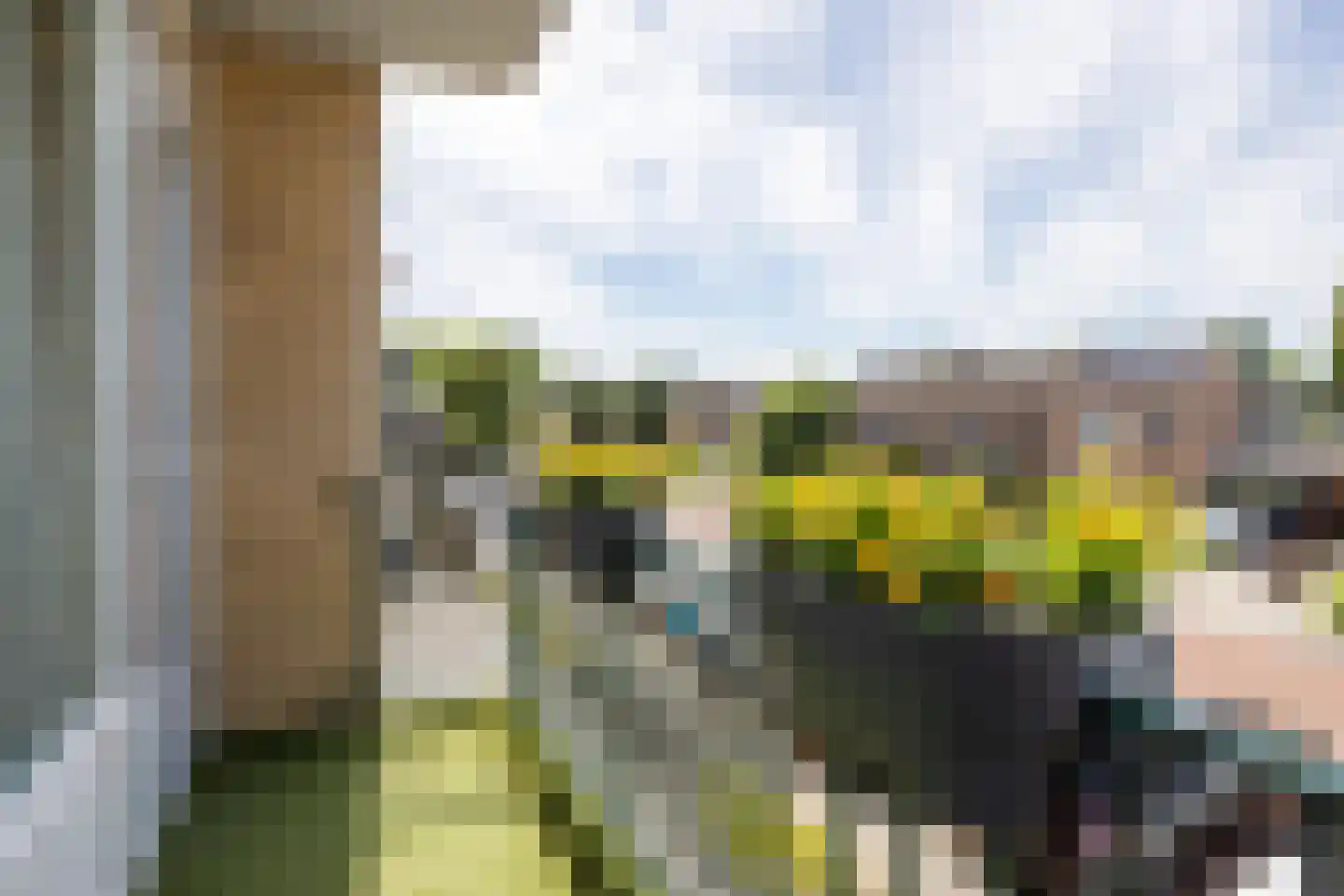 Krugerlaan 9 a Berkel en Rodenrijs thumbnail 19