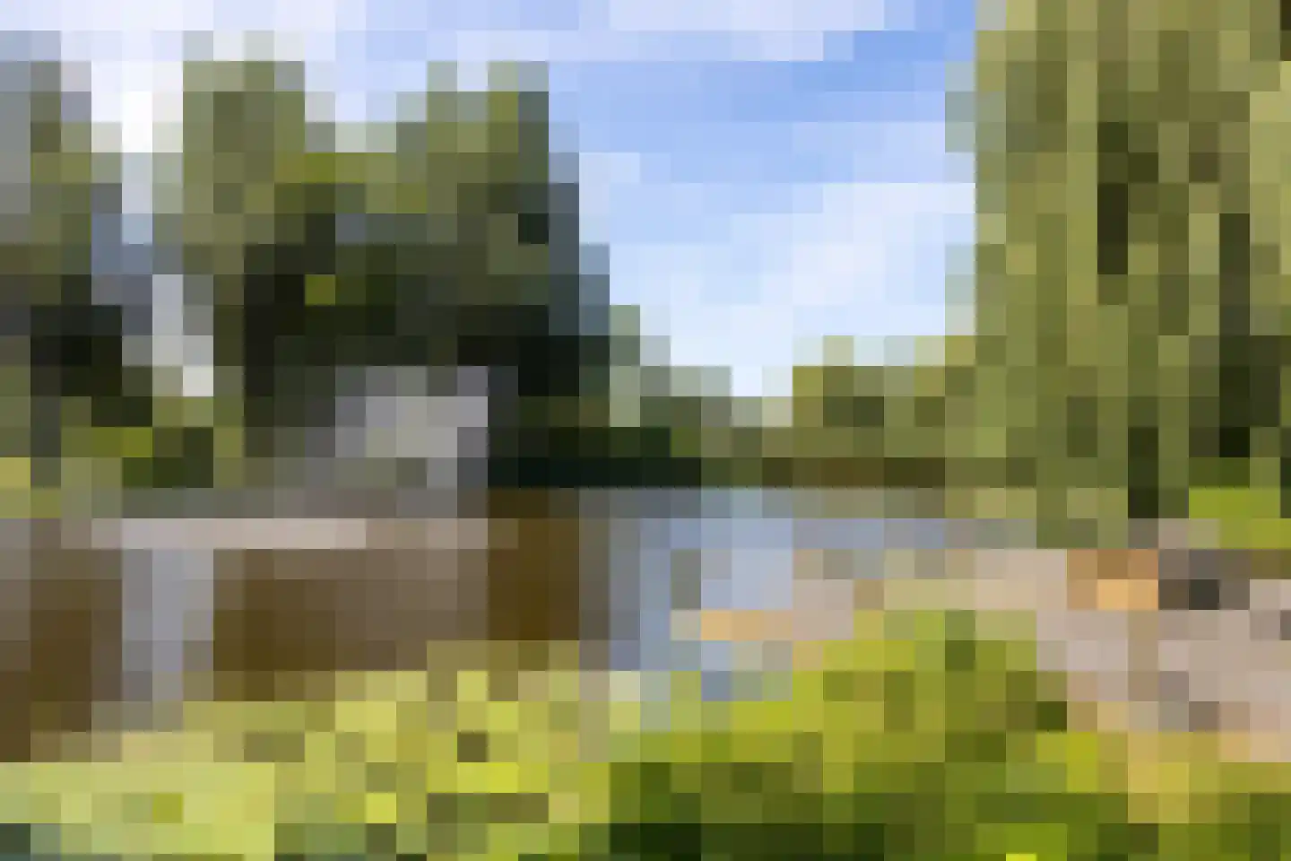 Krugerlaan 9 a Berkel en Rodenrijs thumbnail 35