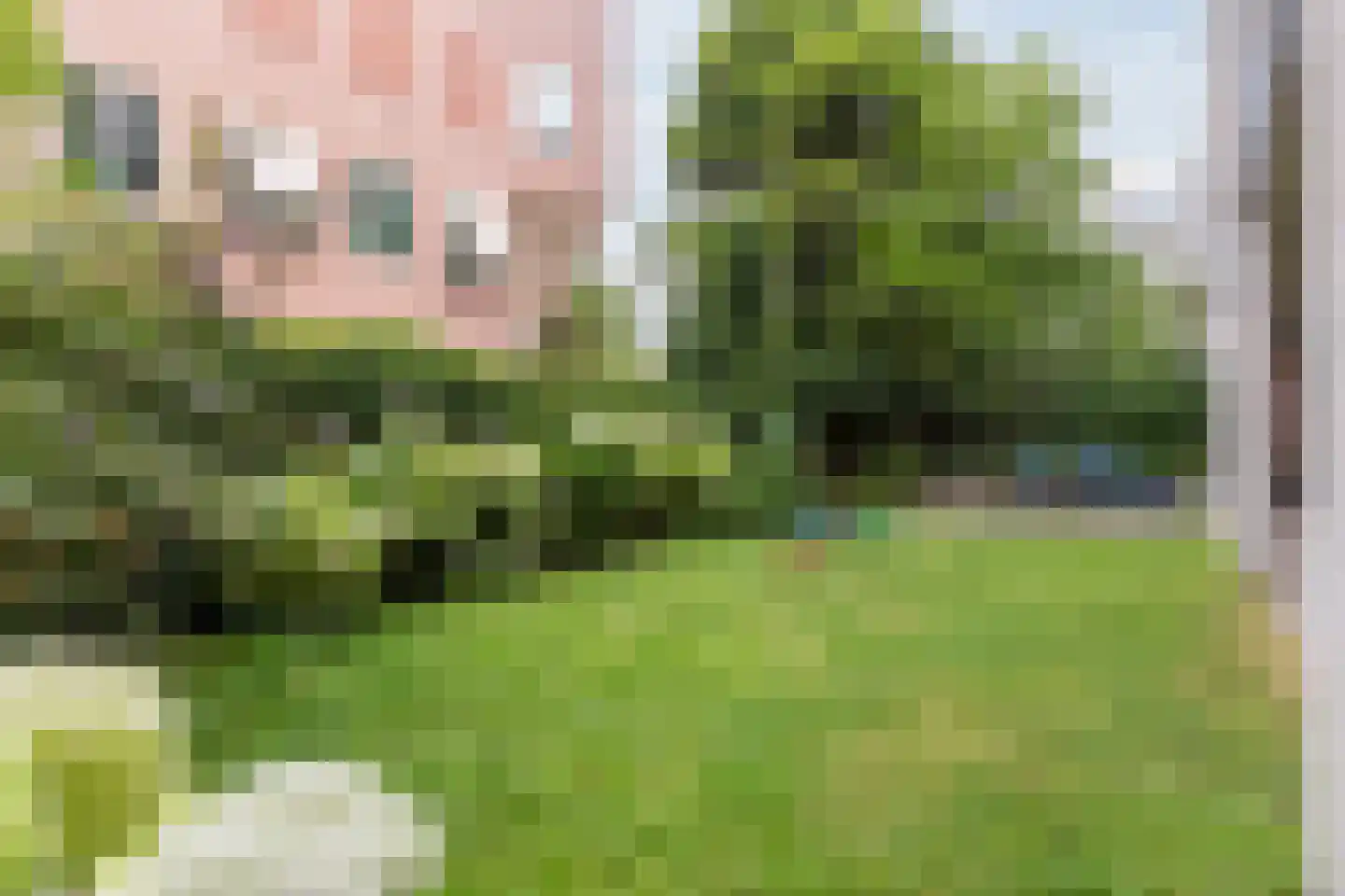 Krugerplein 14 B Amsterdam thumbnail 21