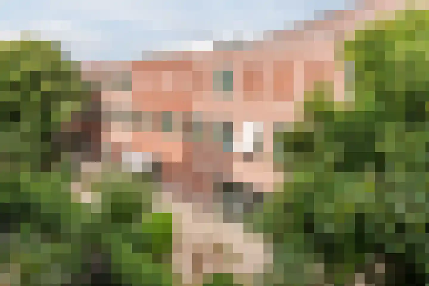 Krugerplein 14 B Amsterdam thumbnail 24