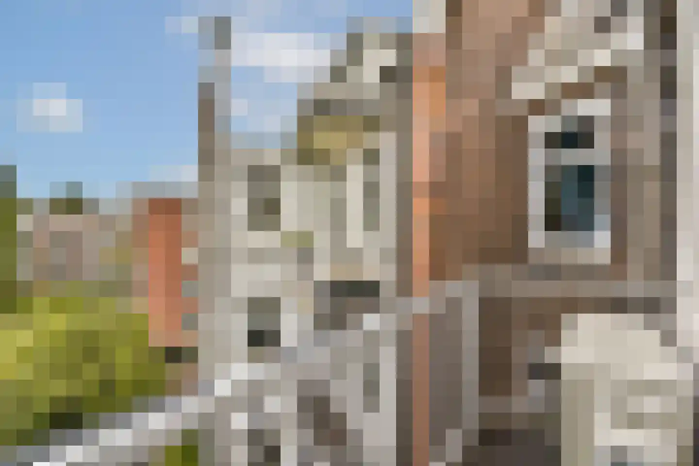 Krugerplein 2 2 Amsterdam thumbnail 9