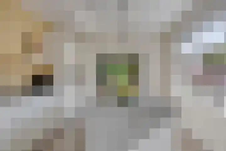 Krugerstraat 100 Vaassen thumbnail 13