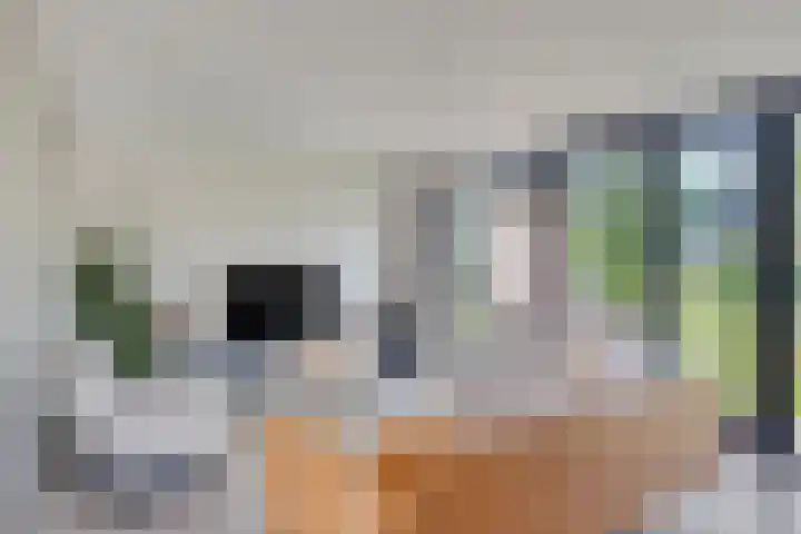 Krugerstraat 100 Vaassen thumbnail 17