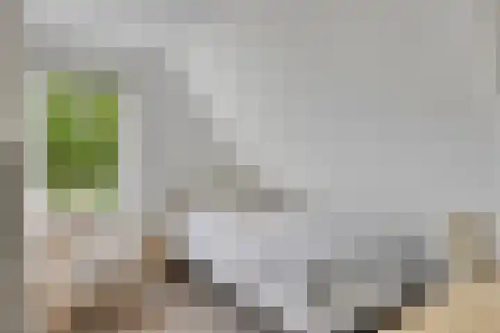 Krugerstraat 100 Vaassen thumbnail 34
