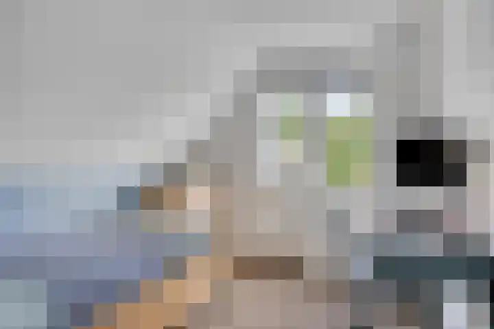 Krugerstraat 100 Vaassen thumbnail 35