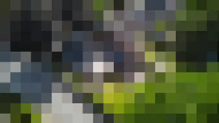 Krugerstraat 100 Vaassen thumbnail 36
