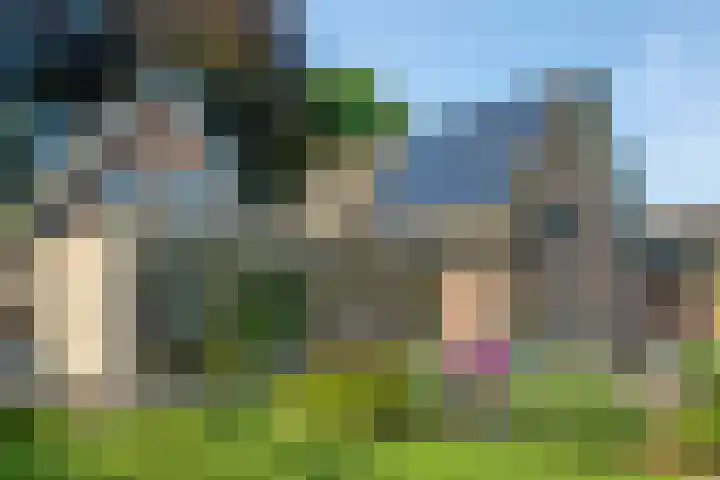 Krugerstraat 100 Vaassen thumbnail 38