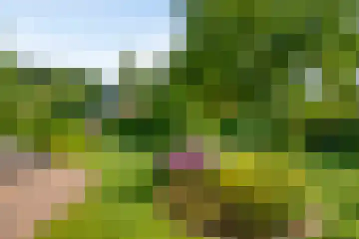 Krugerstraat 100 Vaassen thumbnail 39