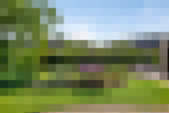 Krugerstraat 100 Vaassen thumbnail 40