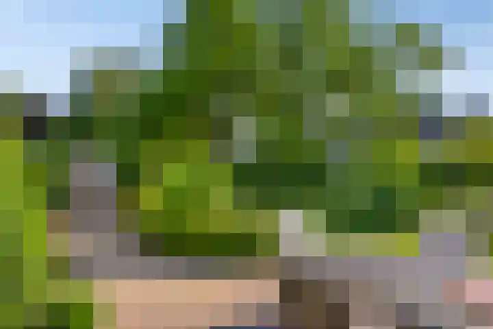 Krugerstraat 100 Vaassen thumbnail 41