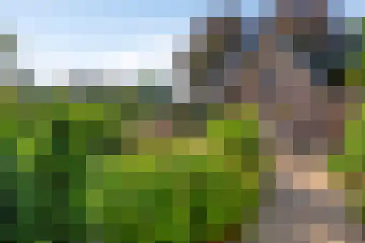 Krugerstraat 100 Vaassen thumbnail 42