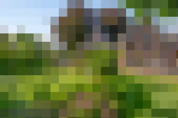 Krugerstraat 100 Vaassen thumbnail 43