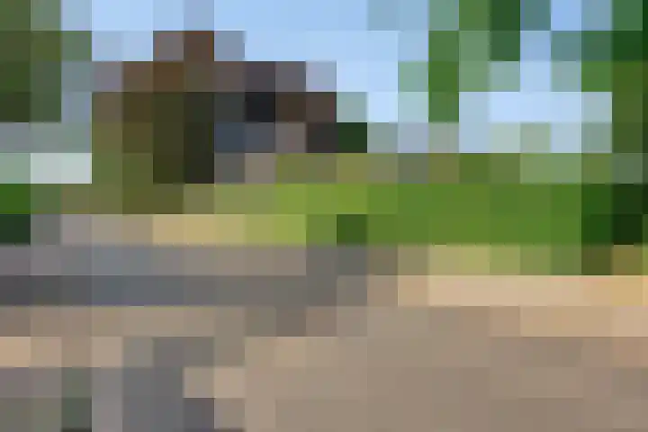 Krugerstraat 100 Vaassen thumbnail 44