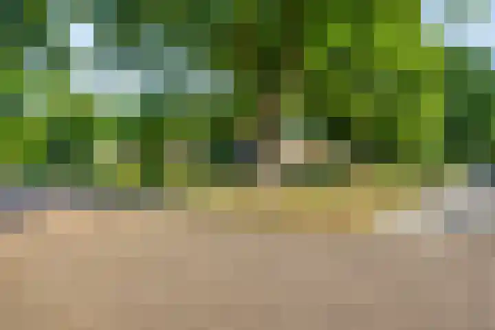 Krugerstraat 100 Vaassen thumbnail 45