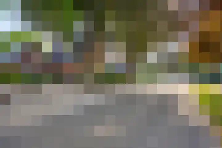 Krugerstraat 100 Vaassen thumbnail 47