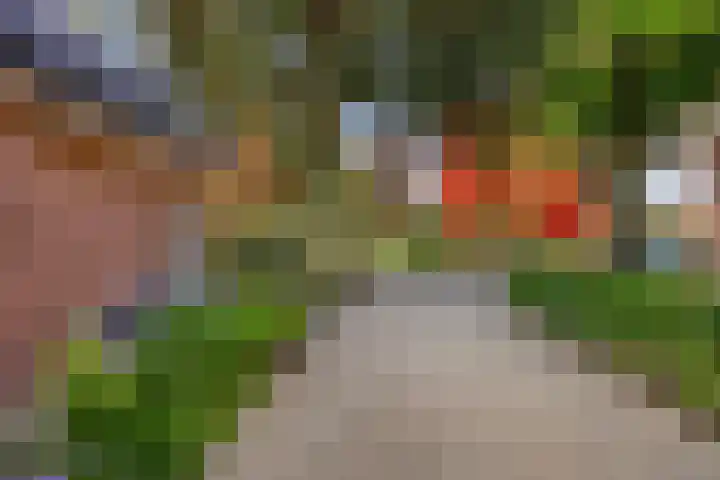 Krugerstraat 100 Vaassen thumbnail 5