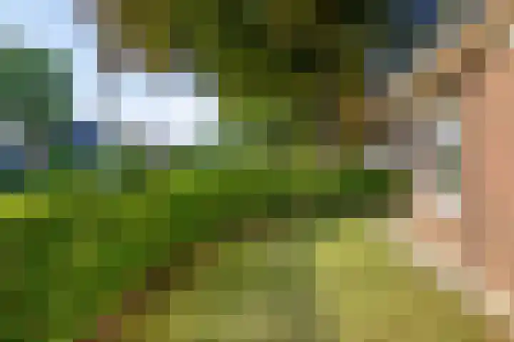 Krugerstraat 100 Vaassen thumbnail 6