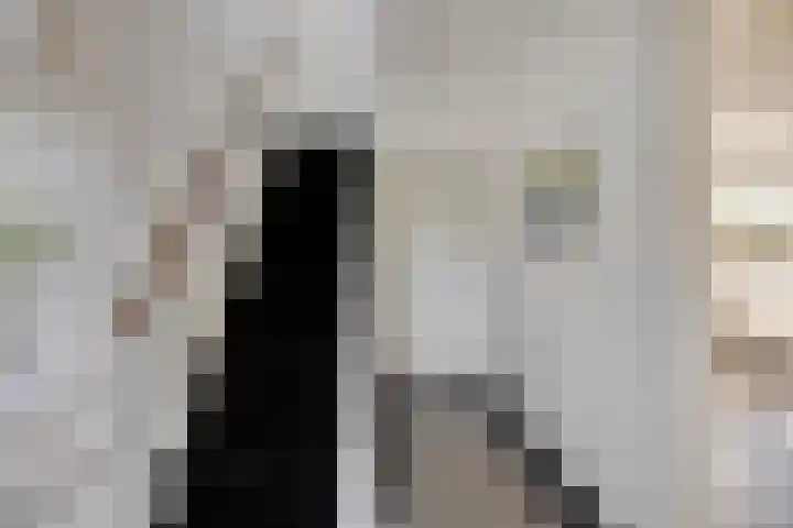 Krugerstraat 100 Vaassen thumbnail 8