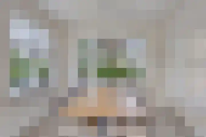 Krugerstraat 100 Vaassen thumbnail 9