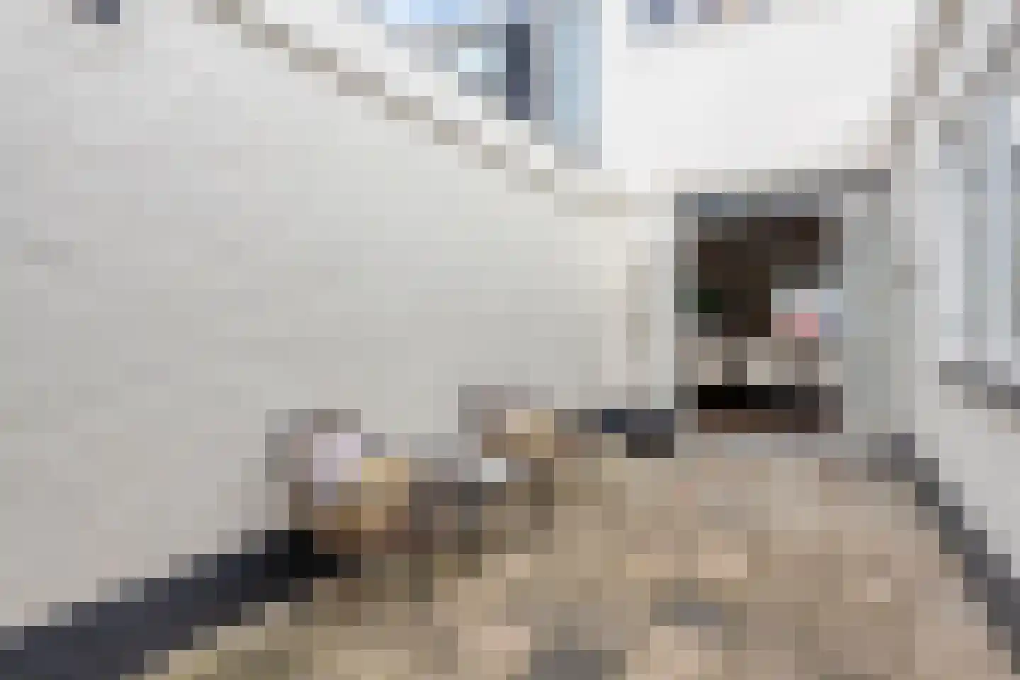 Krugerstraat 106 Den Helder thumbnail 36