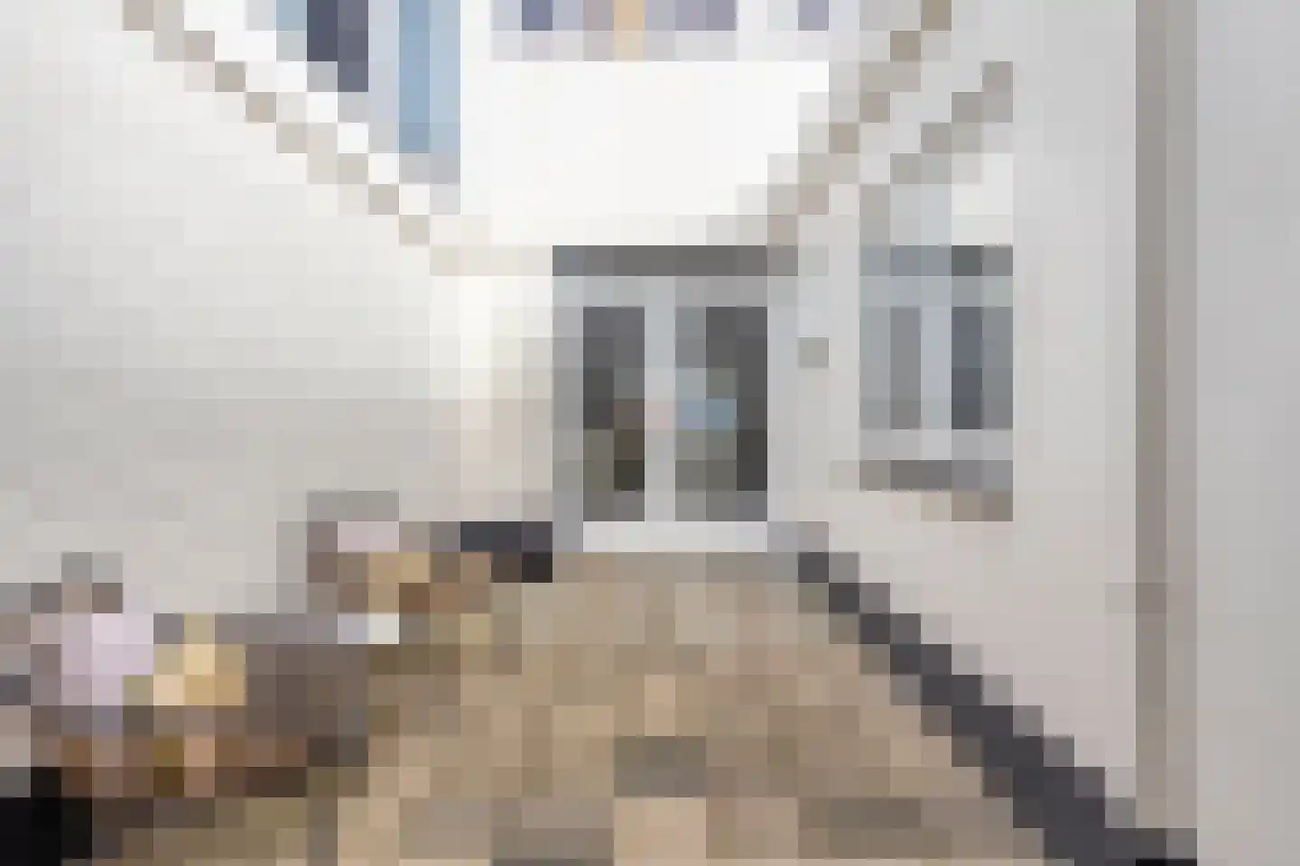 Krugerstraat 106 Den Helder thumbnail 38