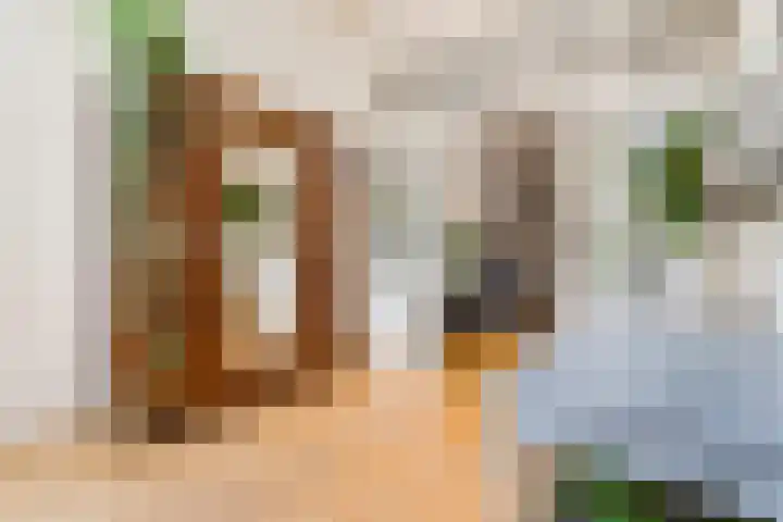 Krugerstraat 2 Utrecht thumbnail 22