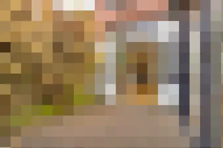 Krugerstraat 2 Utrecht thumbnail 44