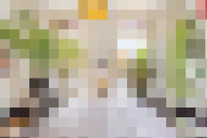 Krugerstraat 2 Utrecht thumbnail 7